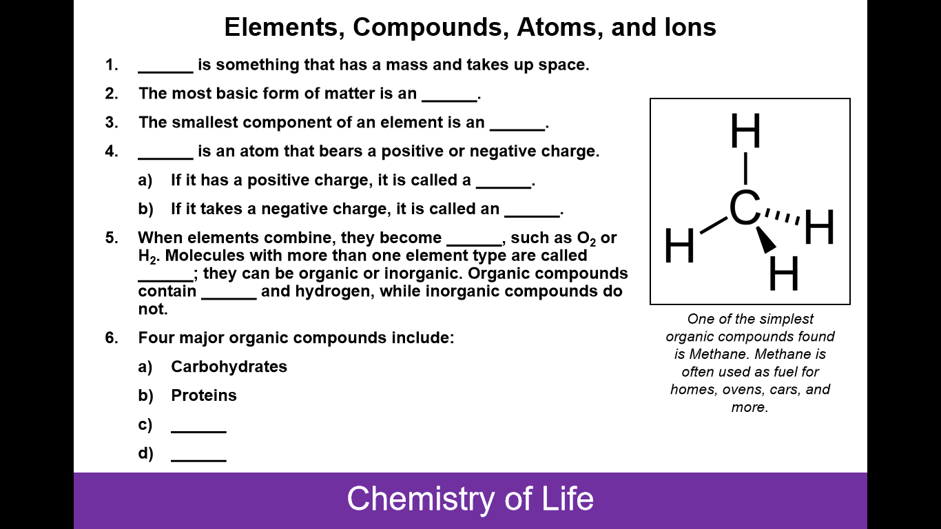 2025 AP Biology Flashcards