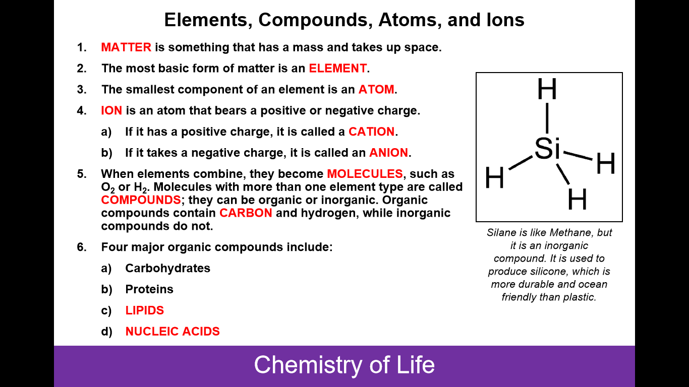 2025 AP Biology Flashcards