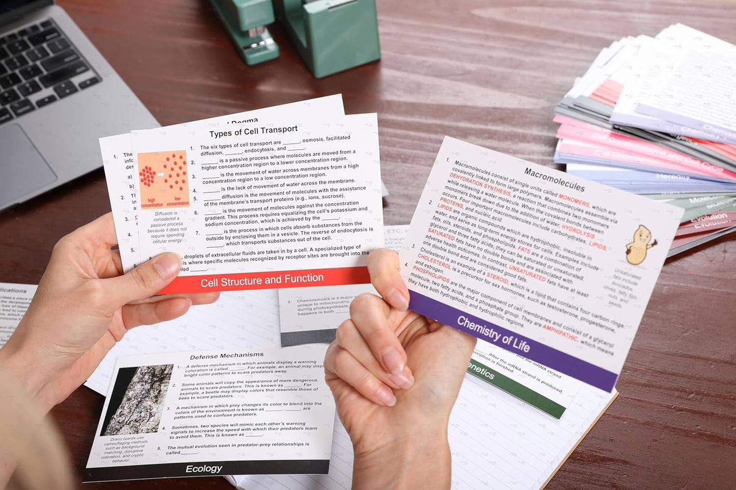 AP Government and Politics Flashcards